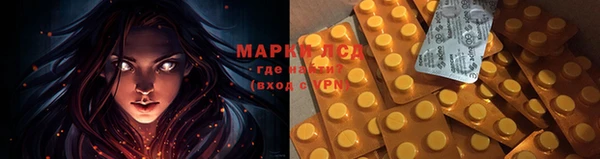 прущие грибы Осташков