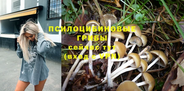 мескалин Дмитров