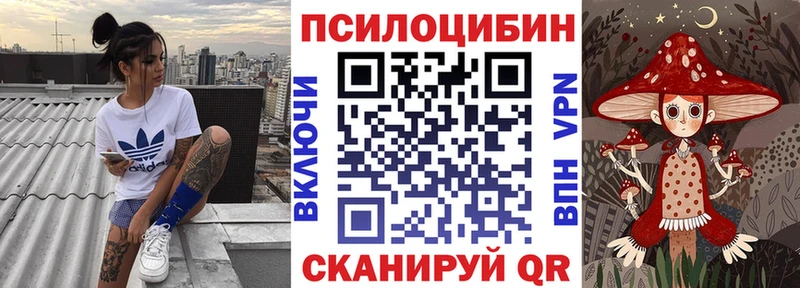 купить наркотики цена  Мосальск  маркетплейс официальный сайт  Псилоцибиновые грибы Psilocybine cubensis 